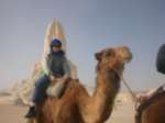 DSCN3591.jpg