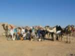 sinai_303.jpg